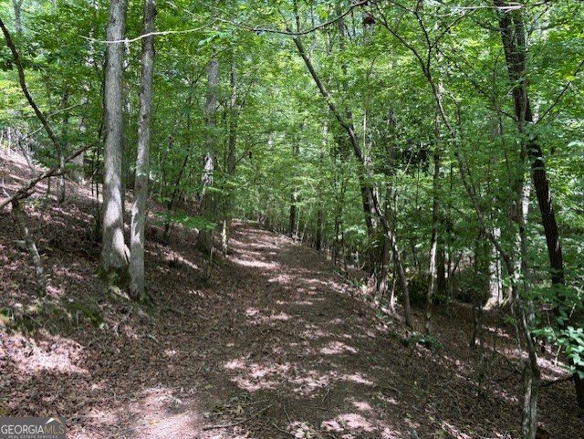 668 Gold Cove Drive Dahlonega - 31