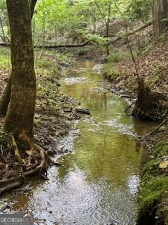 668 Gold Cove Drive Dahlonega - 43