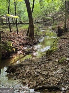 668 Gold Cove Drive Dahlonega - 44