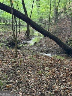 668 Gold Cove Drive Dahlonega - 45