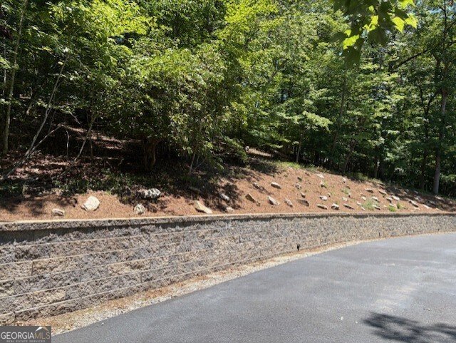 668 Gold Cove Drive Dahlonega - 8