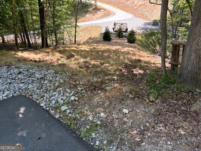 668 Gold Cove Drive Dahlonega - 9