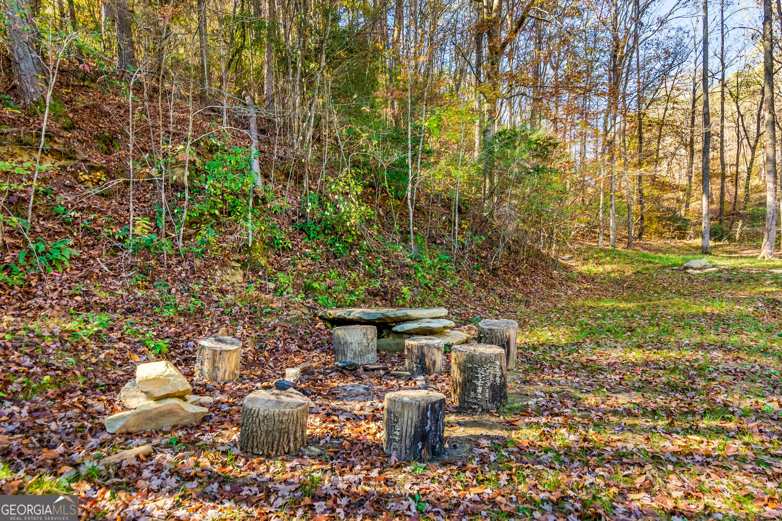 475 Holden Road Ellijay - 31