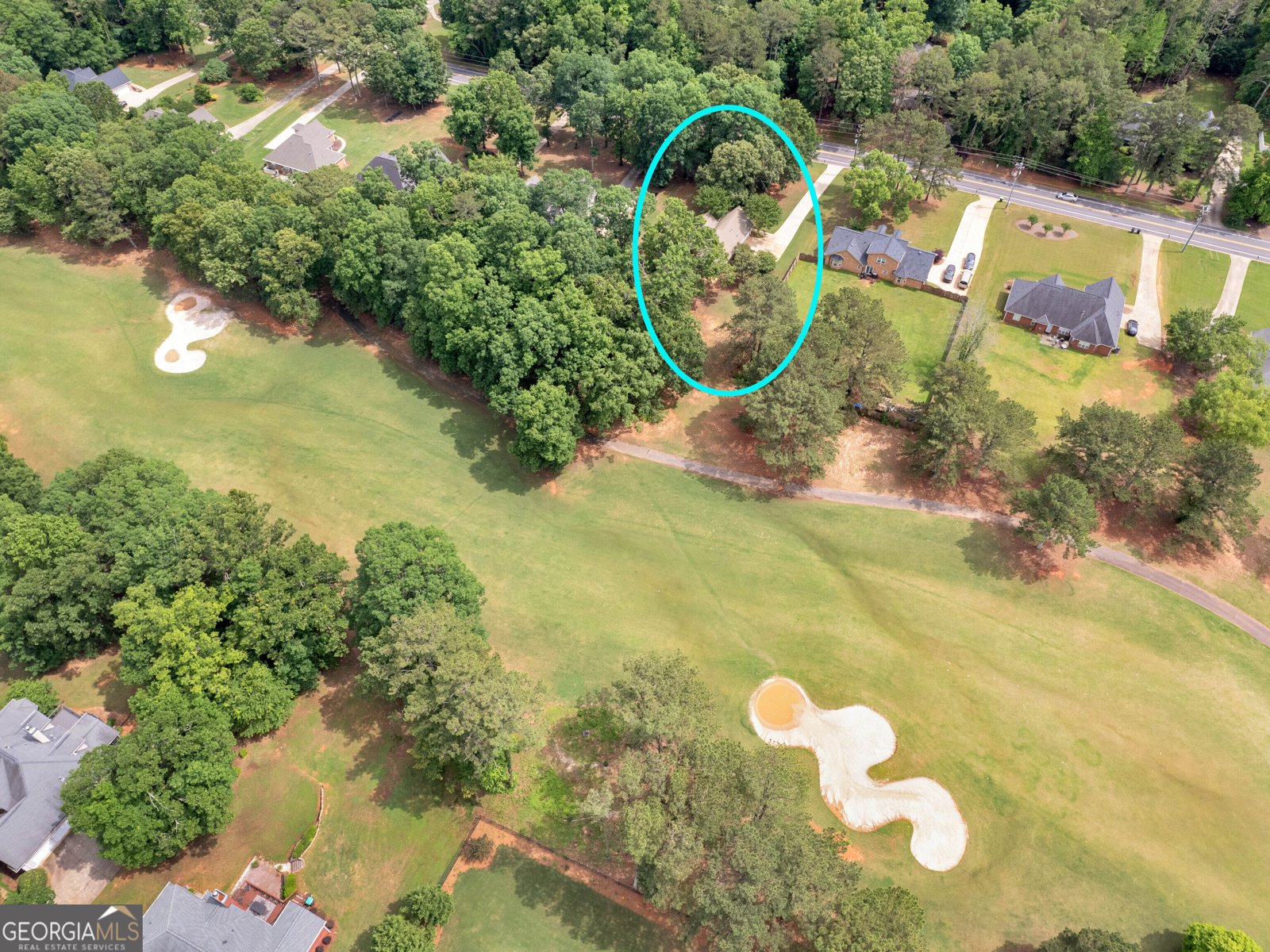 1585 Lake Dow Road McDonough - 1