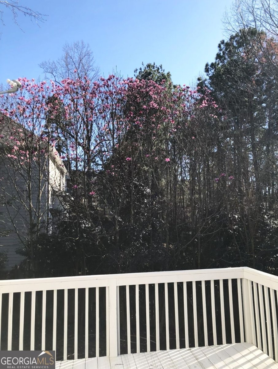 6265 Lake Windsor Parkway Buford - 21