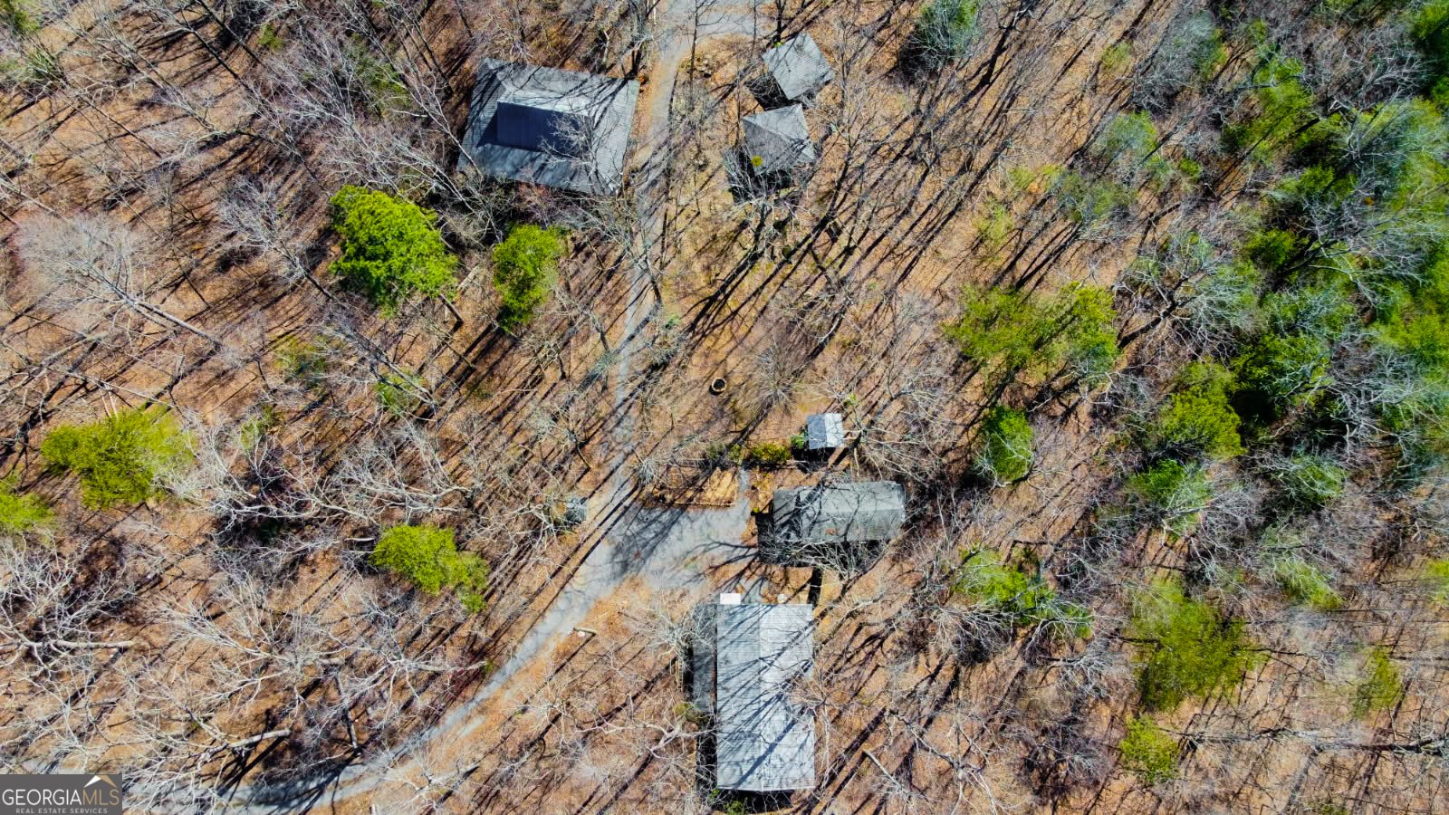 1575 Old Burnt Mountain Road Jasper - 61