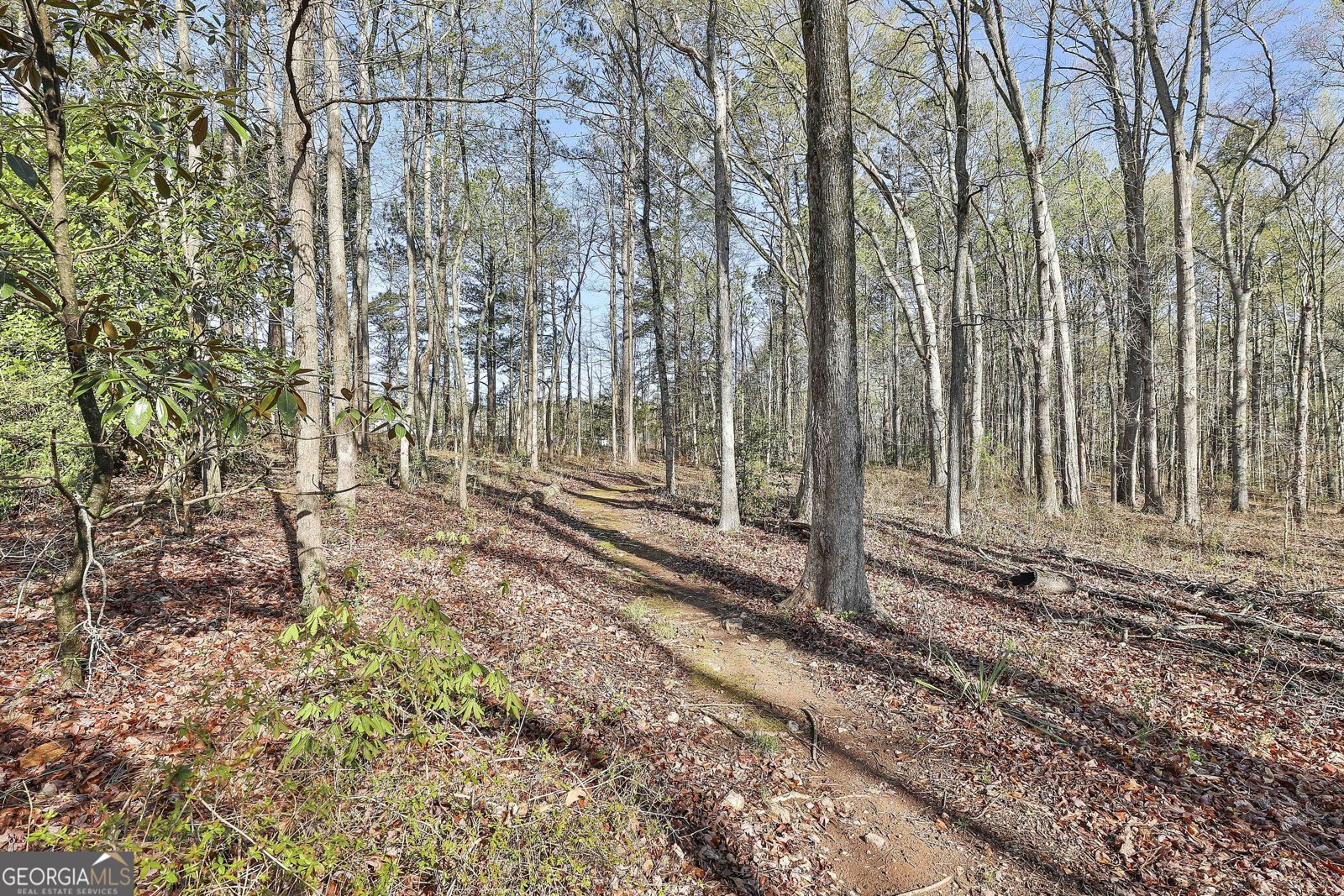 420 County Line Road Griffin - 53