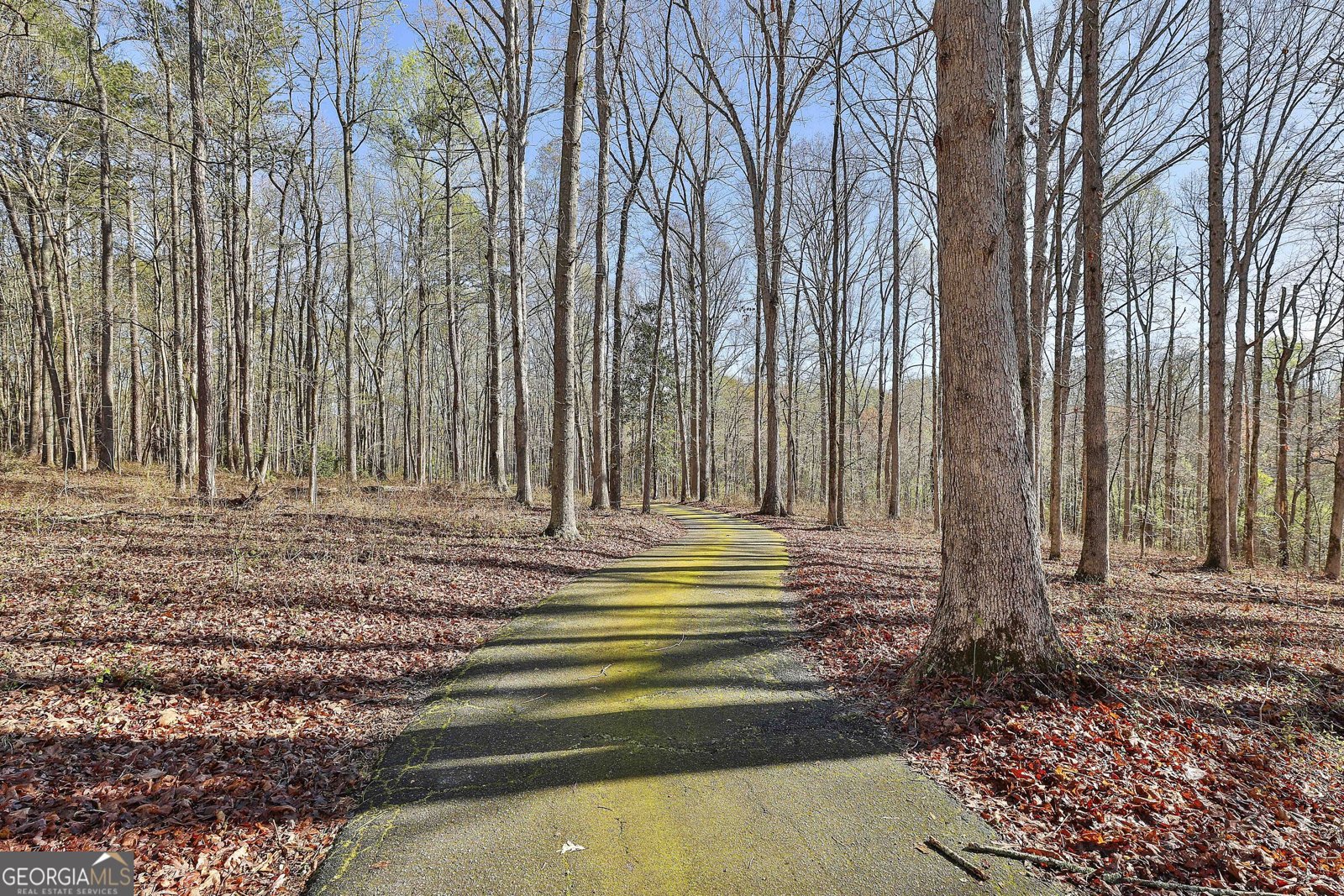 420 County Line Road Griffin - 58