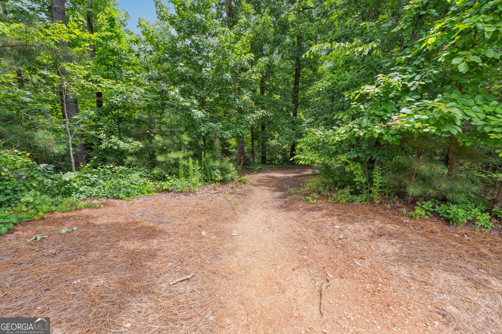 502 Abbington River Lane Atlanta - 74