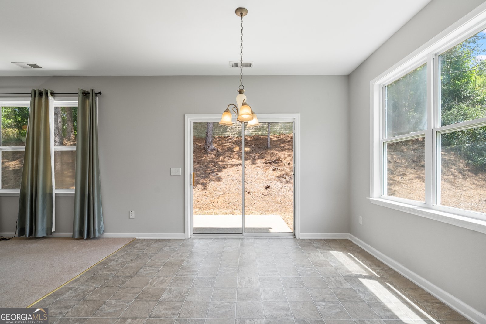 112 Puckett Court Canton - 14