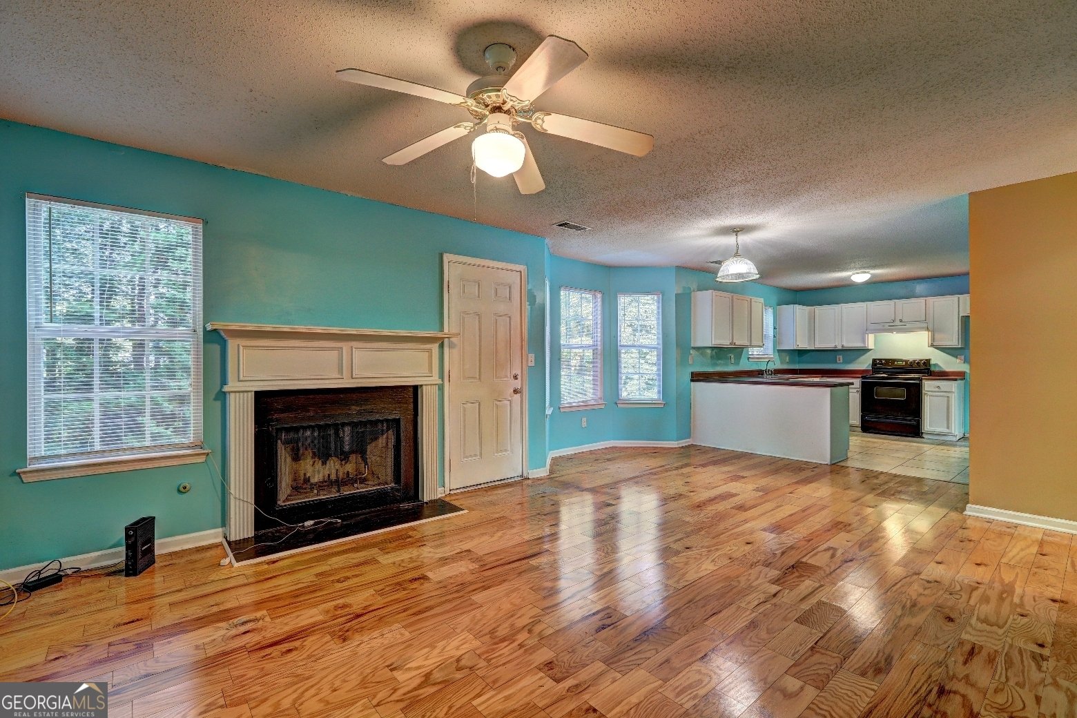 1067 Misty Meadows Point Hampton - 3