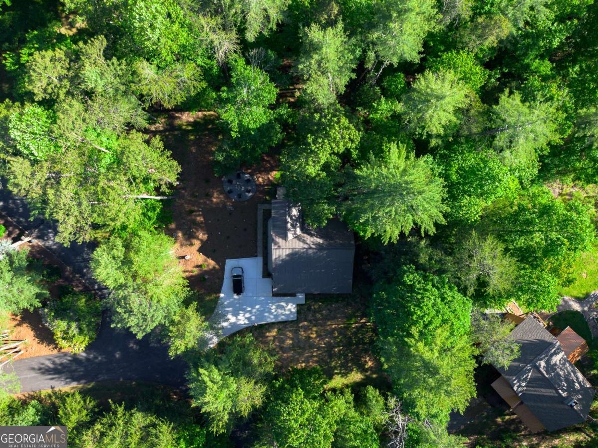 365 Browns Cove Road Blue Ridge - 24