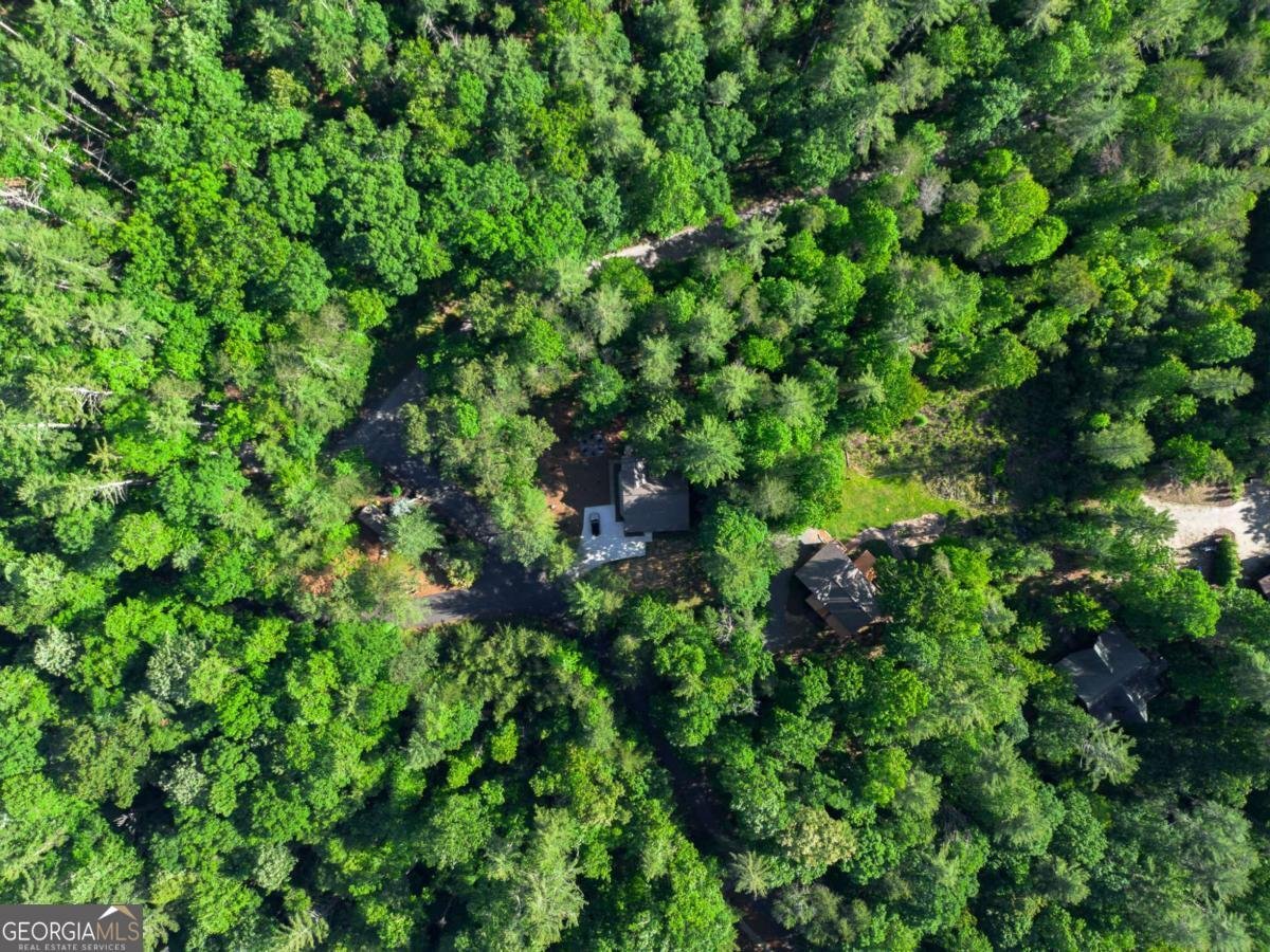 365 Browns Cove Road Blue Ridge - 25
