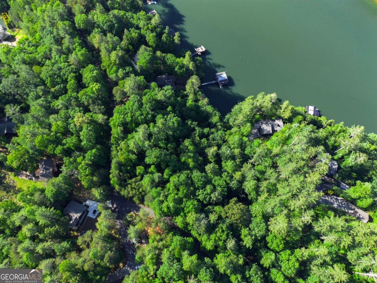 365 Browns Cove Road Blue Ridge - 26