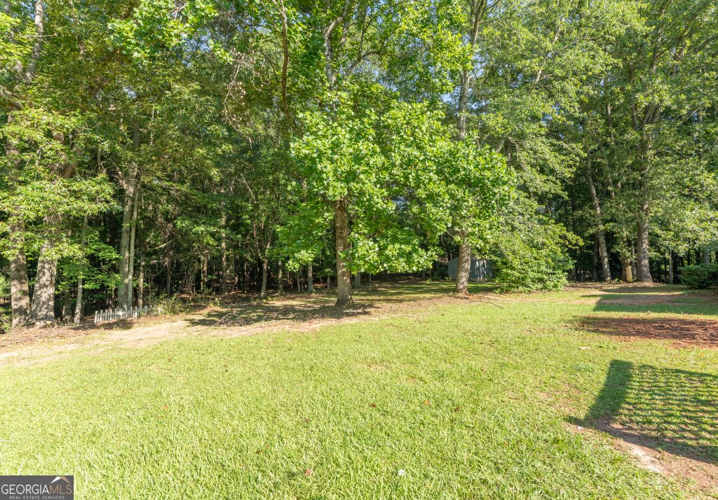 115 Brookwood Lane Fayetteville - 33