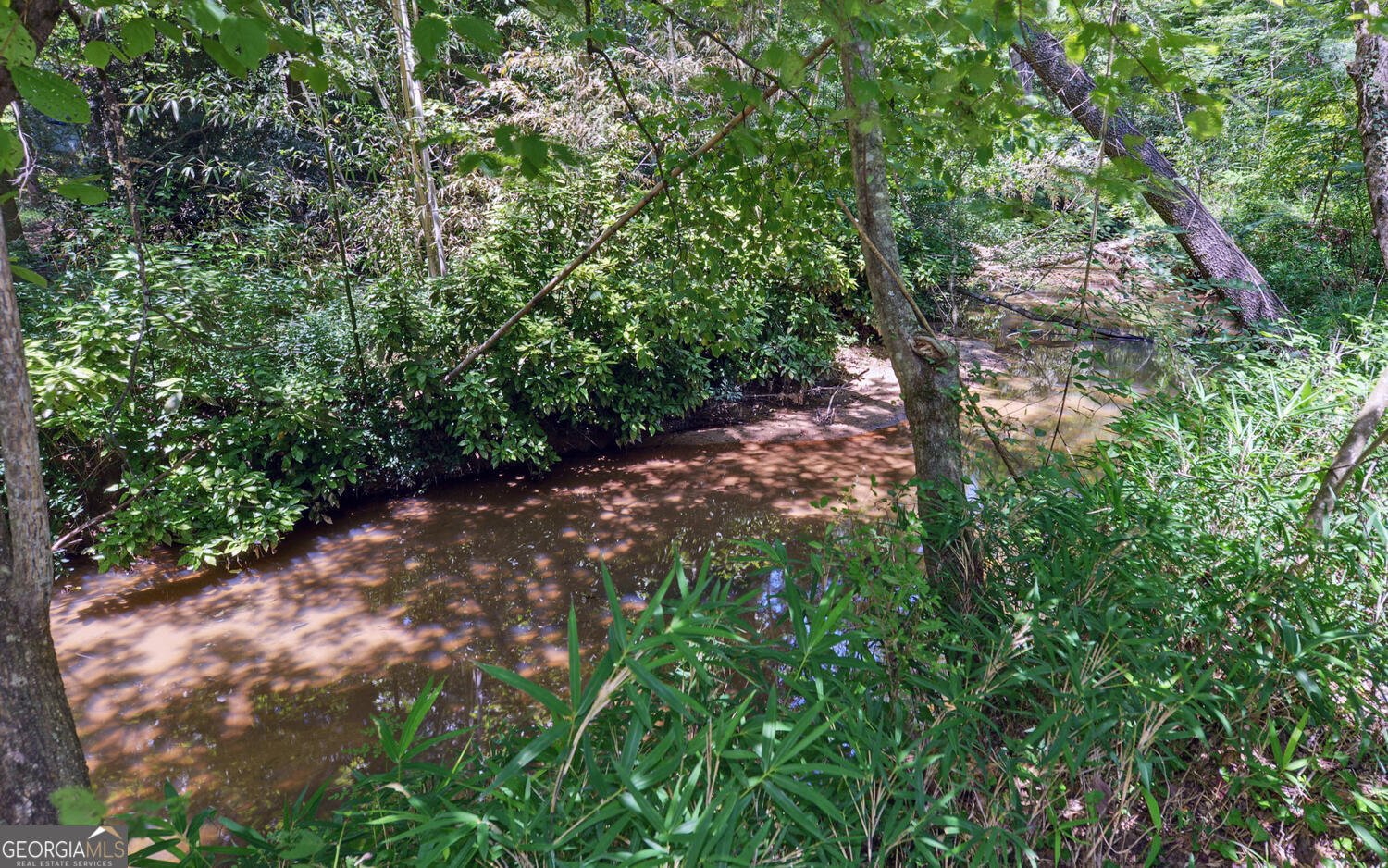 46 Cedar Ridge Drive Toccoa - 42
