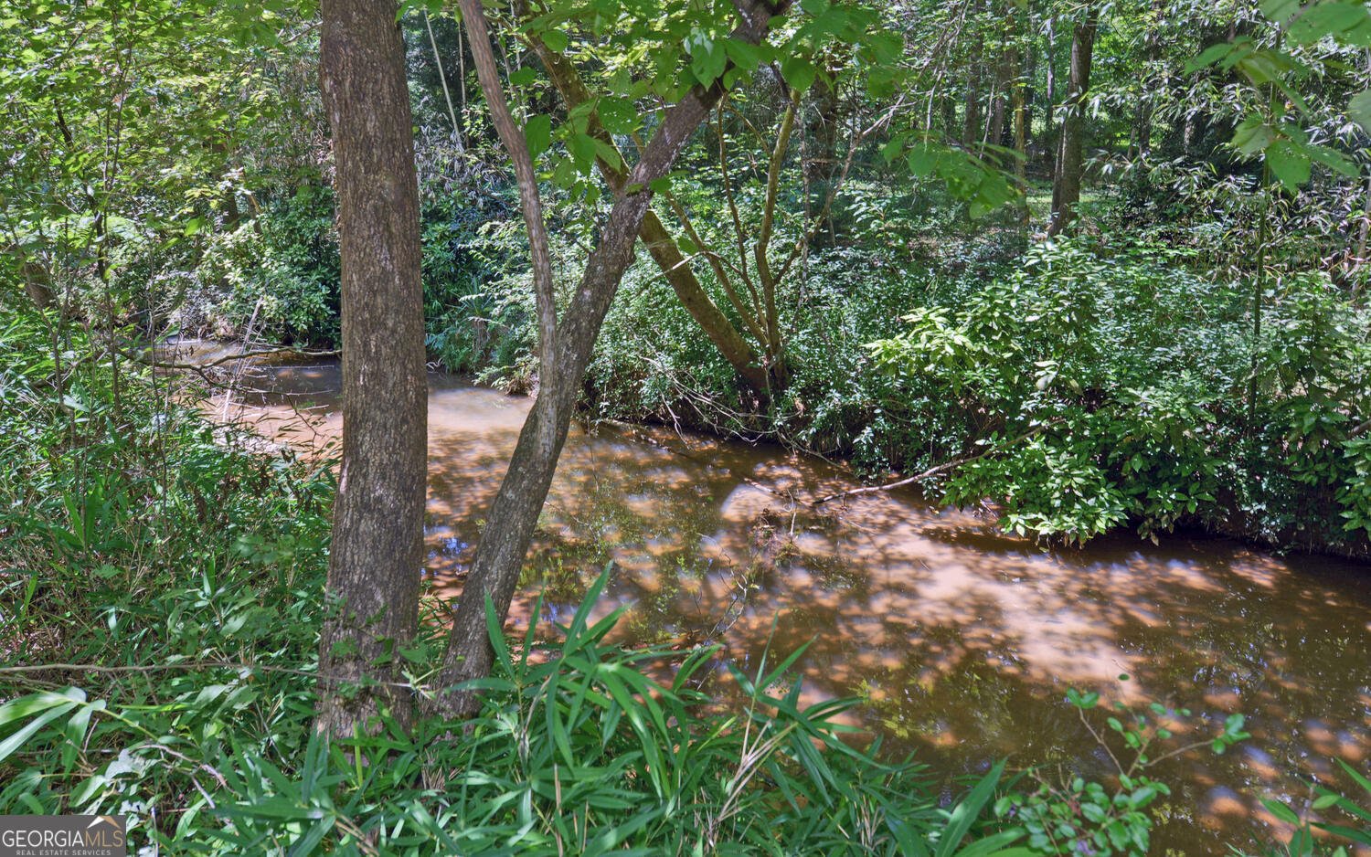 46 Cedar Ridge Drive Toccoa - 43