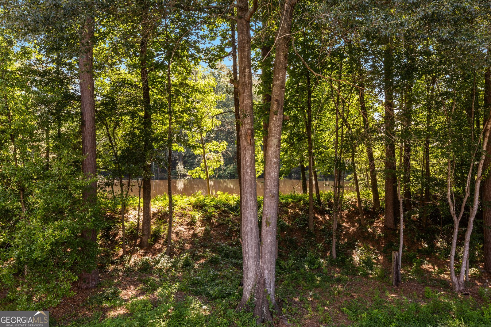 1360 Mount McKinley Drive Grayson - 22