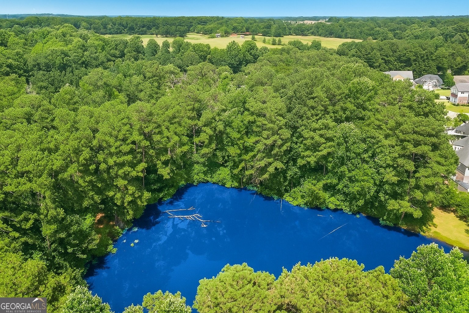 1360 Mount McKinley Drive Grayson - 29
