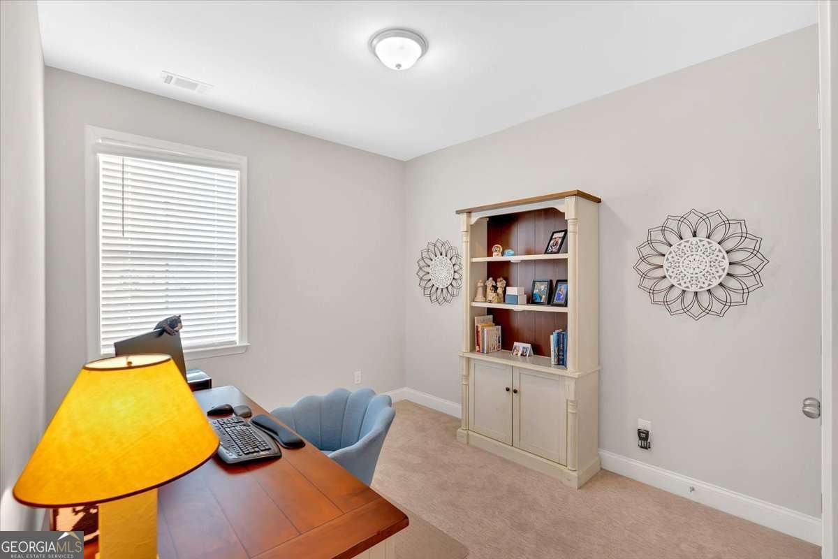 427 BLUFFS VIEW Lane Canton - 2