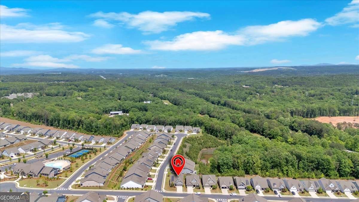 427 BLUFFS VIEW Lane Canton - 26