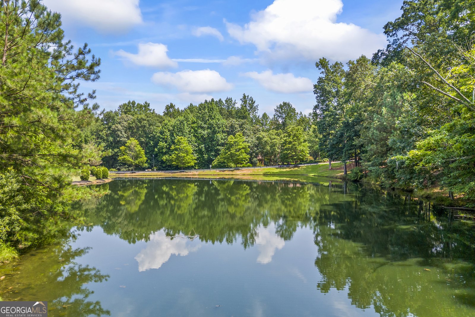1005 Renfroe Lake Drive Auburn - 47