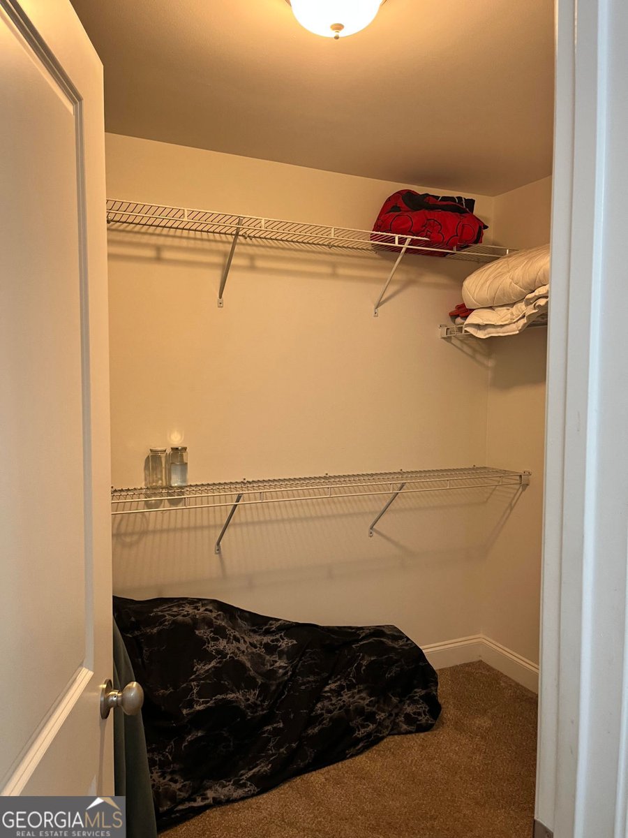 20 Monarch Way Hiram - 19