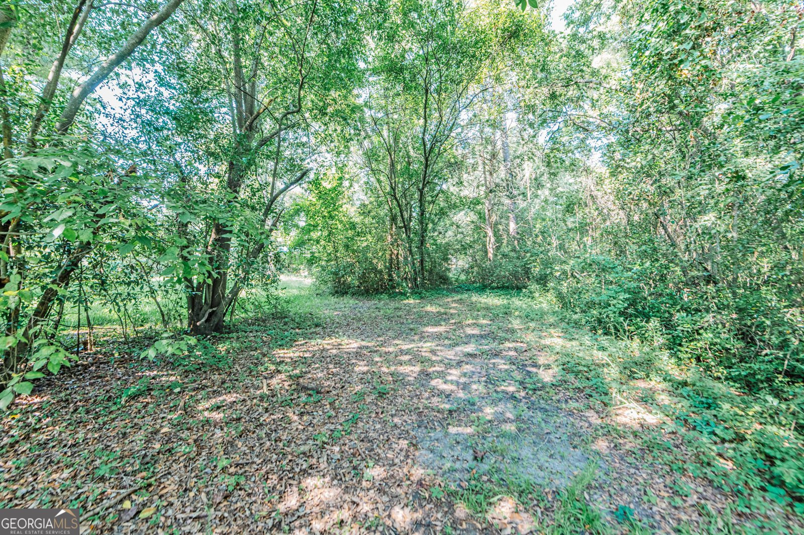 118 5th Street Cochran - 3