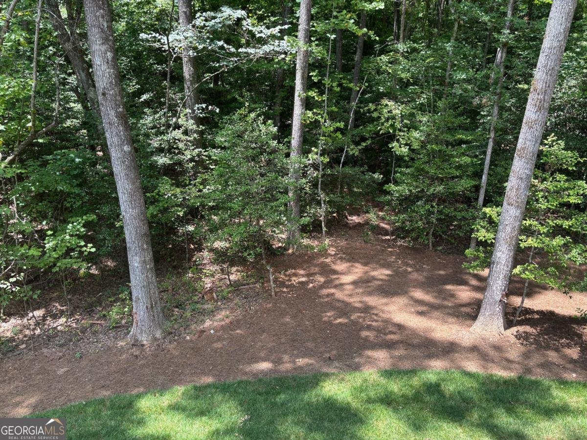 256 AUTUMN HARVEST Lane Dahlonega - 16