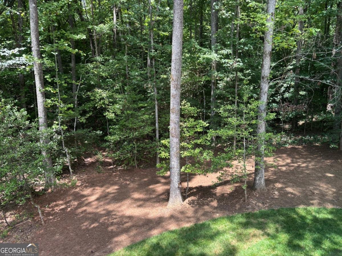 256 AUTUMN HARVEST Lane Dahlonega - 19