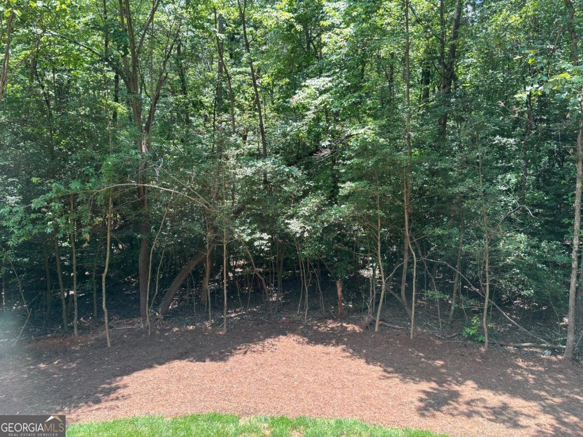 256 AUTUMN HARVEST Lane Dahlonega - 20