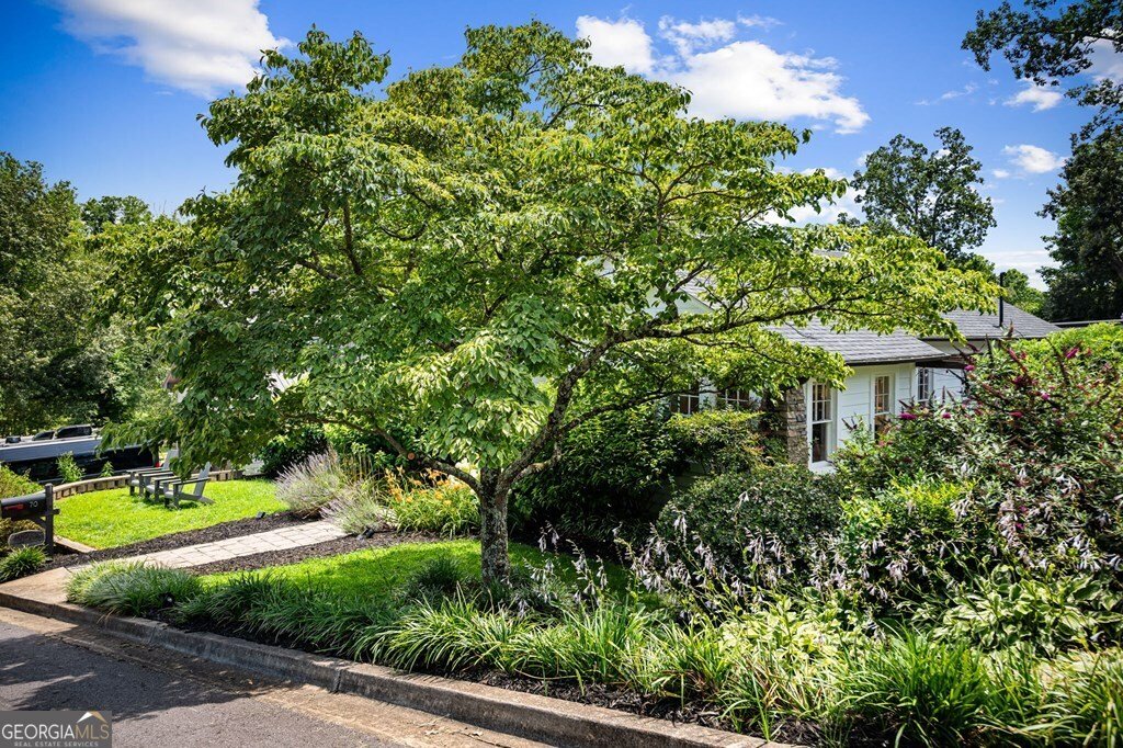 70 Mckinney Street Blue Ridge - 22