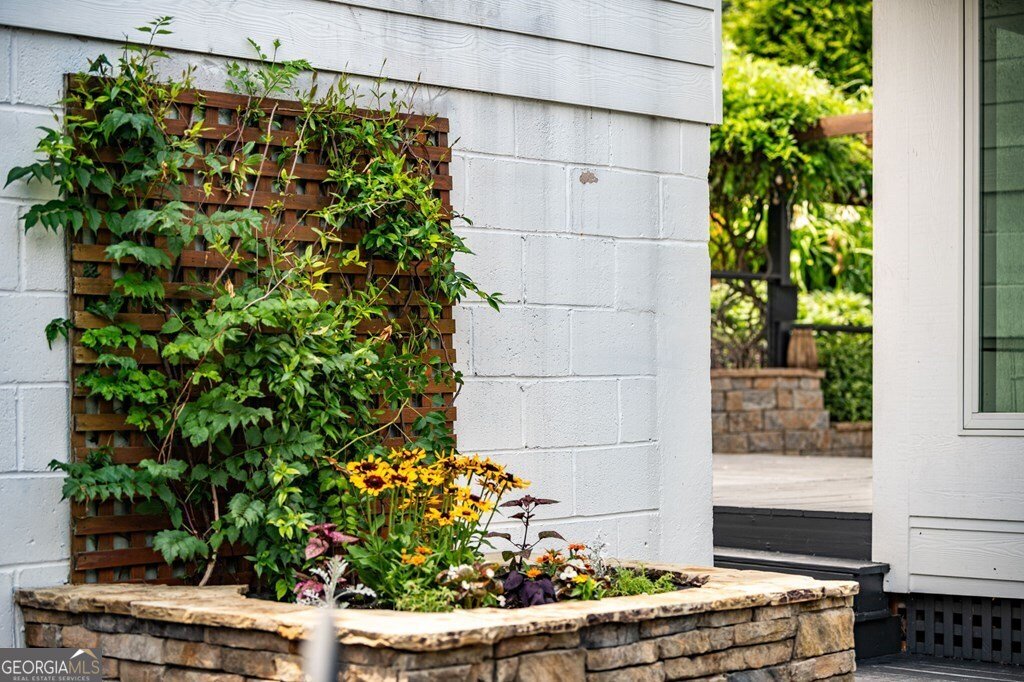 70 Mckinney Street Blue Ridge - 74