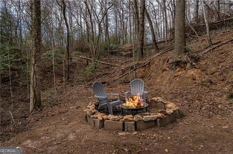 3185 Old Flat Branch Road Ellijay - 3