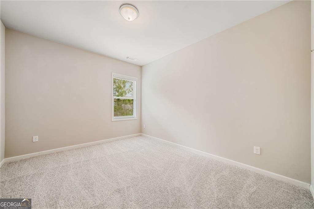 6169 MULBERRY PARK Drive Braselton - 19