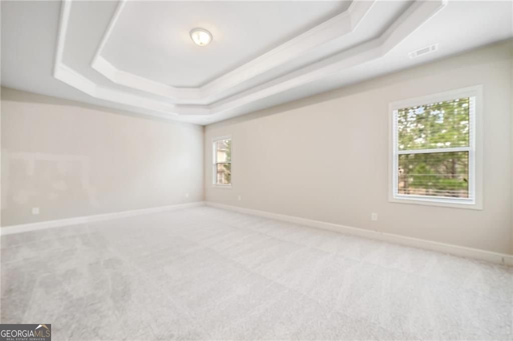 6169 MULBERRY PARK Drive Braselton - 33