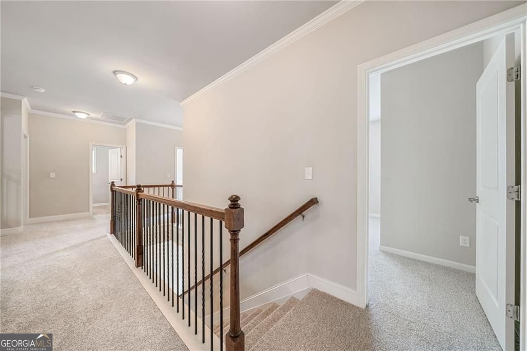 6169 MULBERRY PARK Drive Braselton - 8