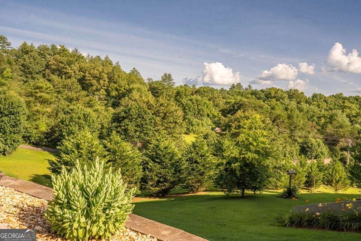 97 Lindsey Lane Blue Ridge - 9
