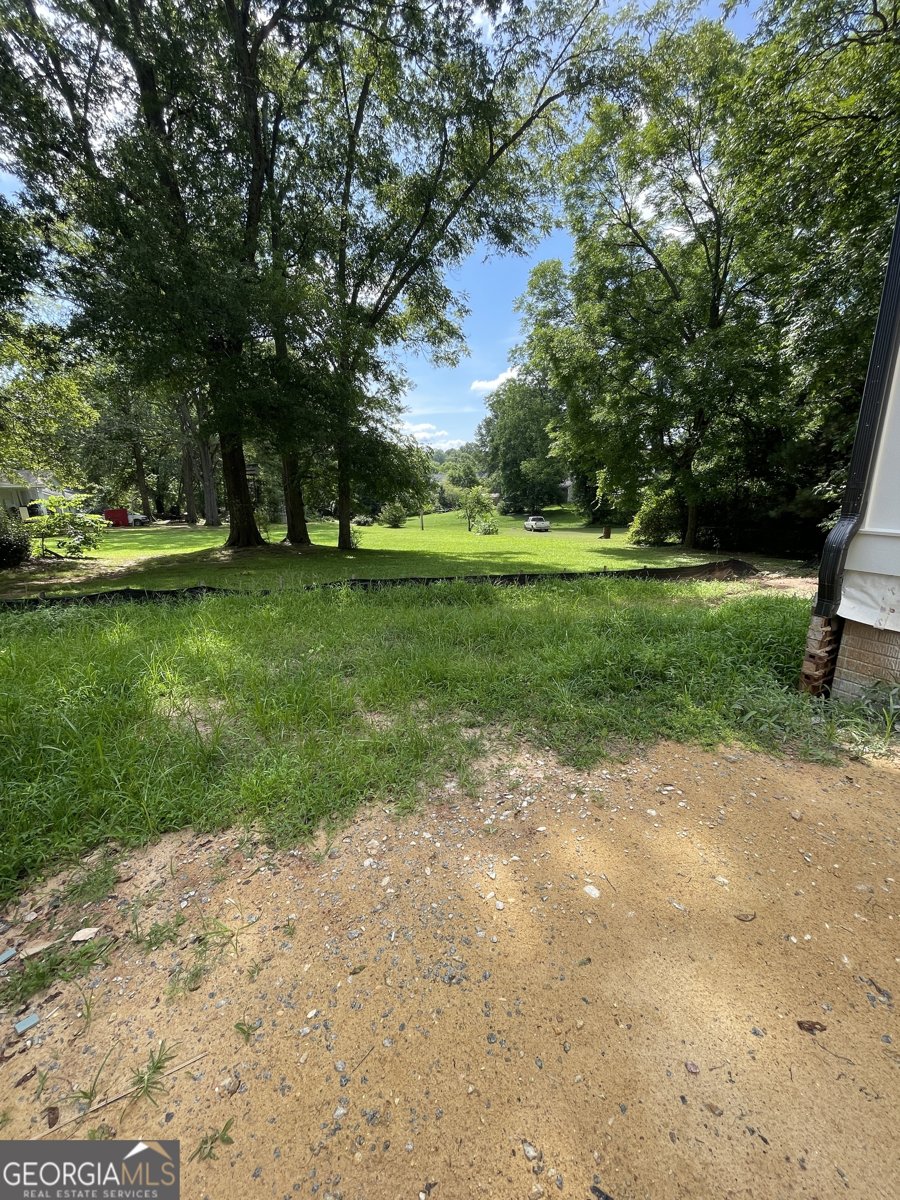 0 Coweta Street Senoia - 23