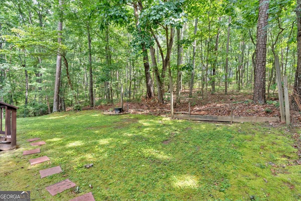 1341 Little Deer Run Canton - 14