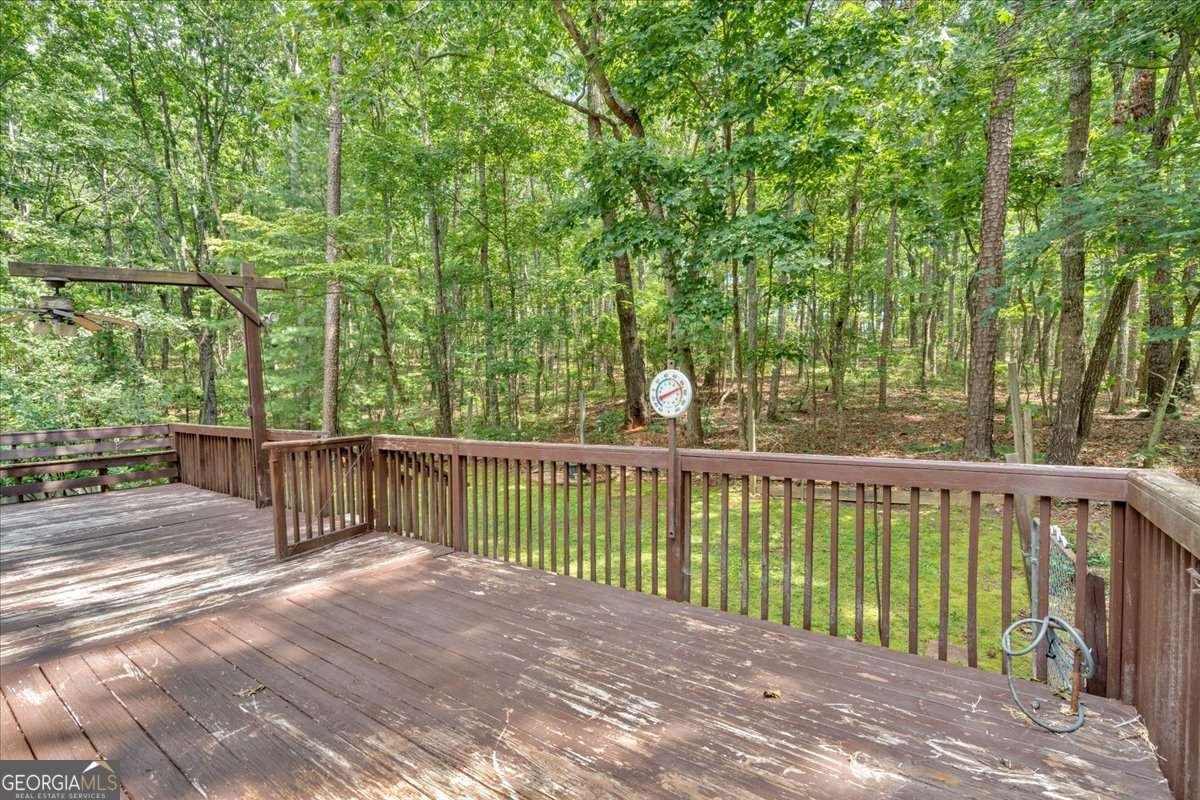 1341 Little Deer Run Canton - 26