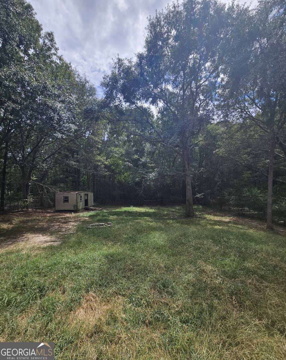 222 Dobbins Mill Road Griffin - 12