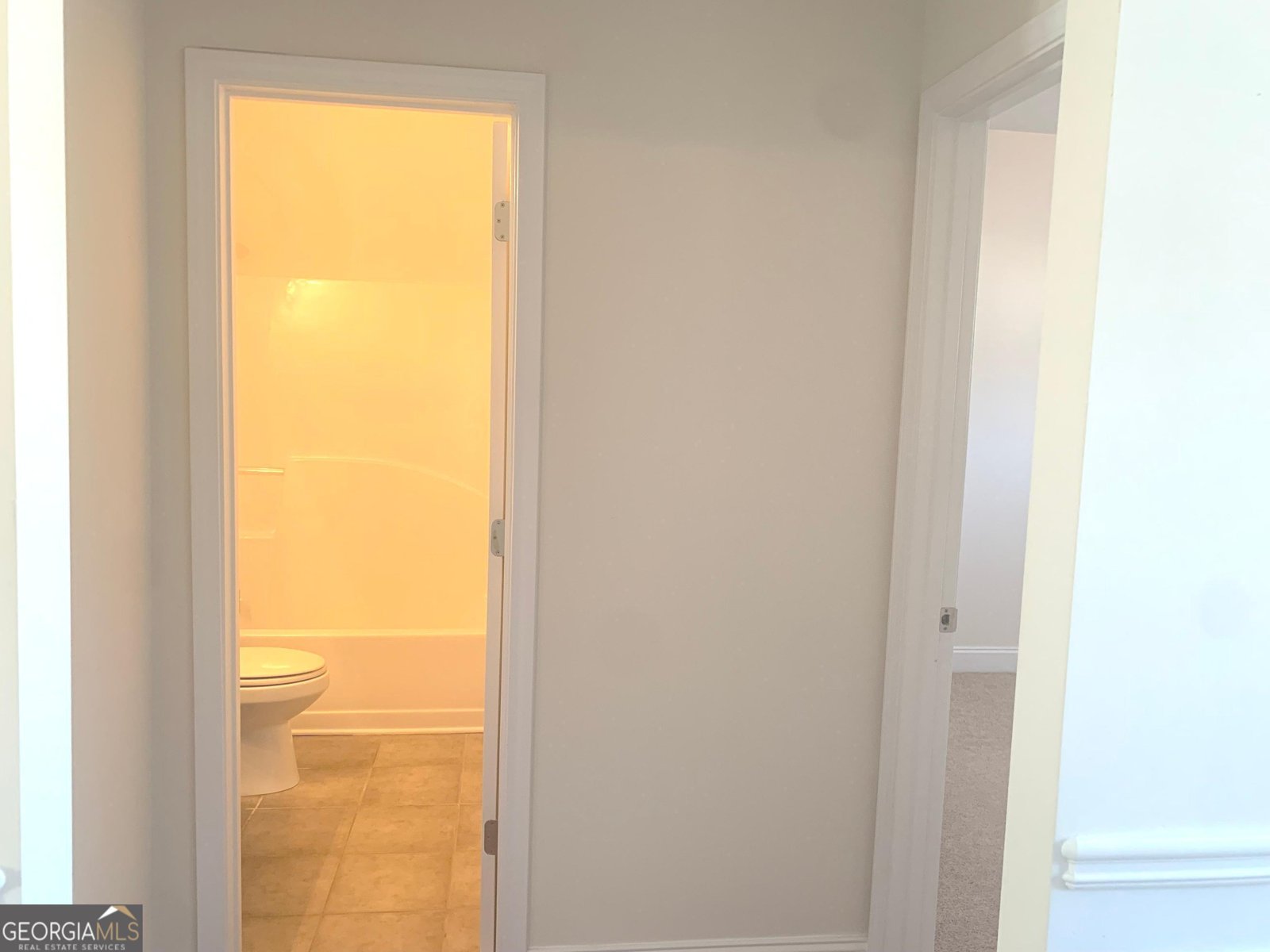 2118 Water Mill Court Buford - 19