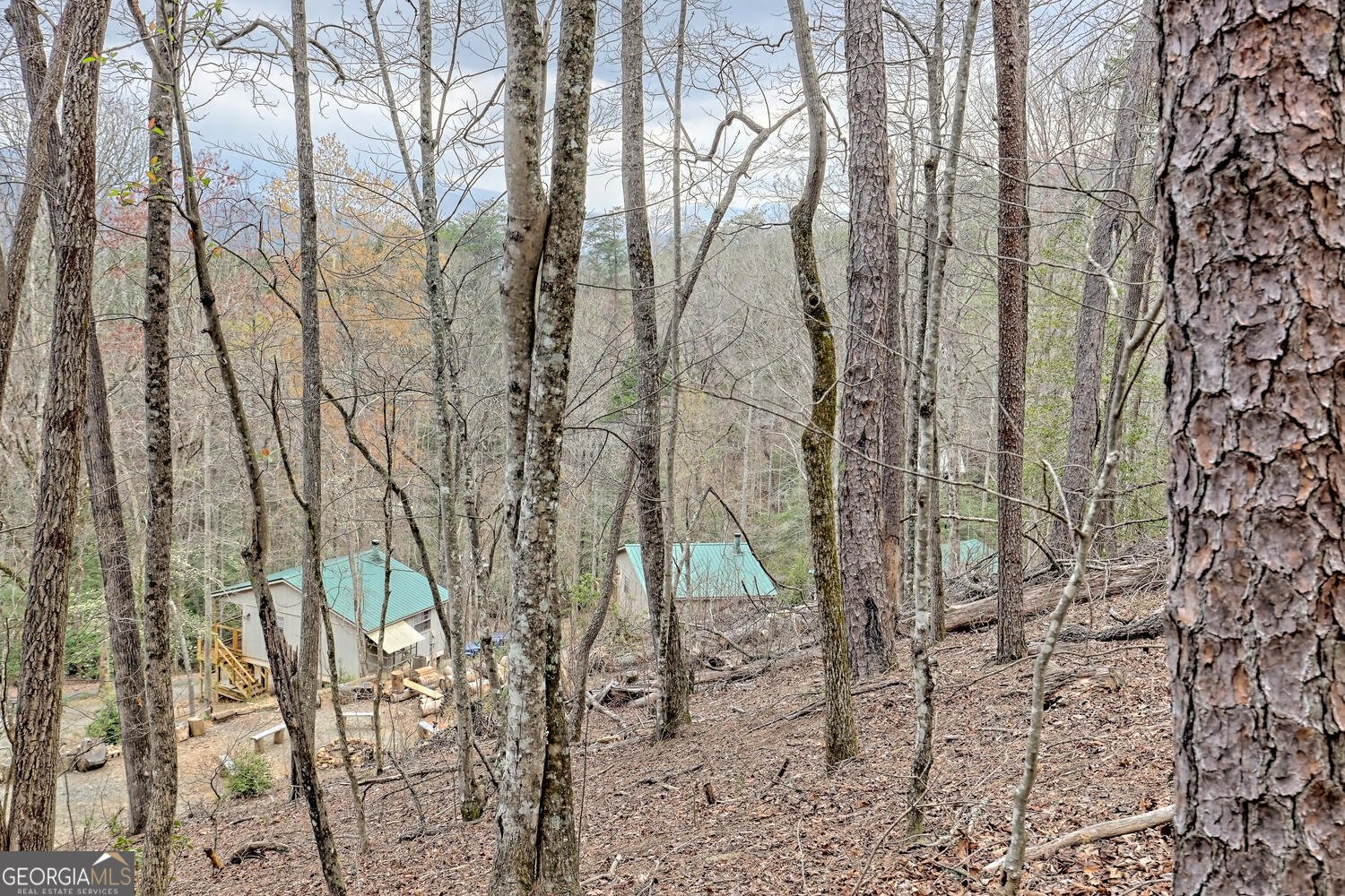 4664 Mitchell Cove Road Hiawassee - 54