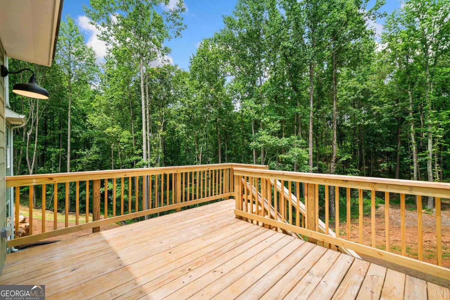 1236 Debord Drive Waleska - 44