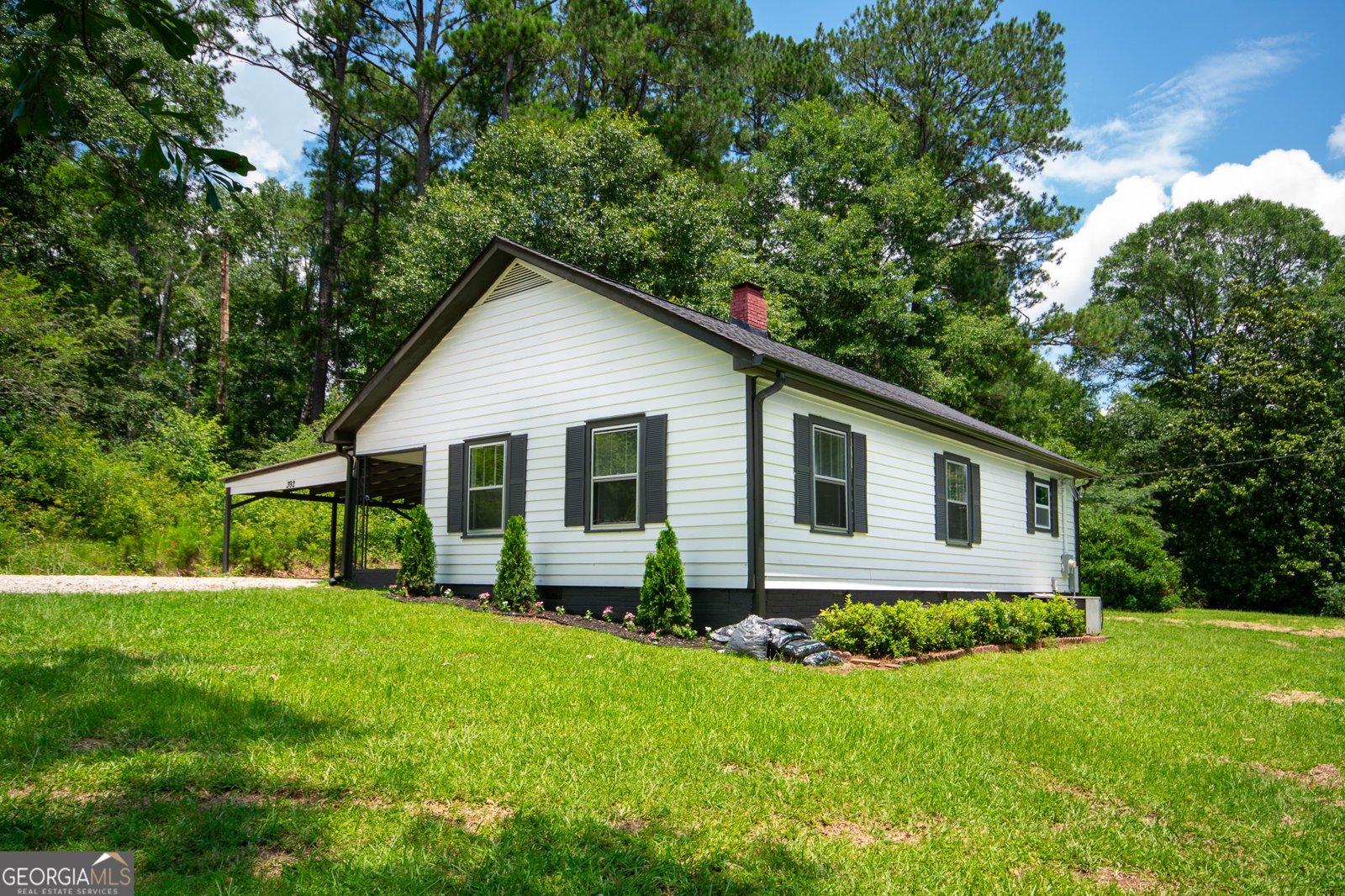 392 Corinth Road Hogansville - 4