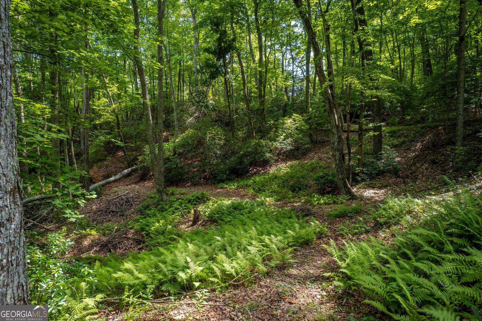 652 Stennes Gap Road Blairsville - 10