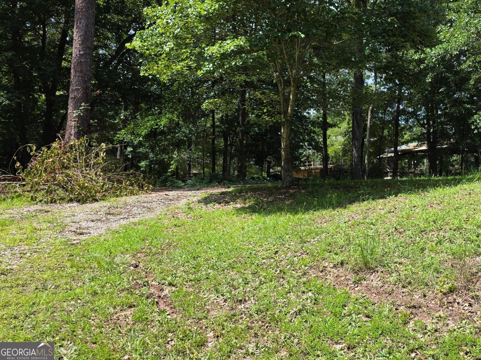 202 Sandy Run Road Bonaire - 10