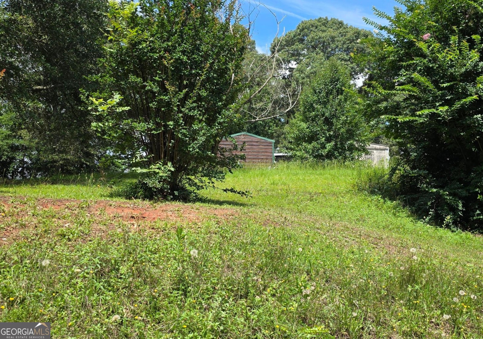 202 Sandy Run Road Bonaire - 9