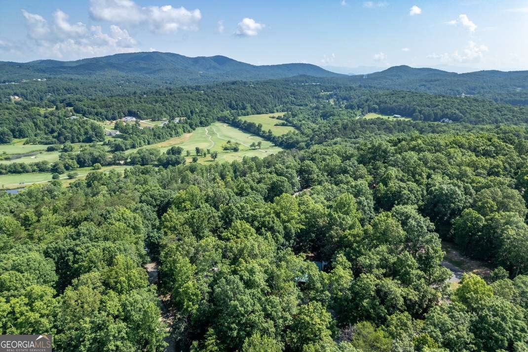 1133 Garrett Circle Blairsville - 3
